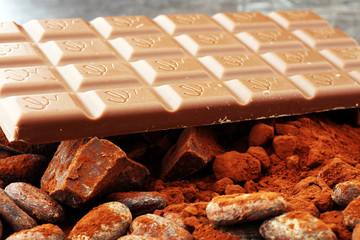 Raw cocoa beans, cocoa powder and chocolate pieces.