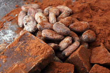 Raw cocoa beans, cocoa powder and chocolate pieces.