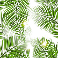 Beautiful tropical summer seamless pattern. Realistic palm leaves, brigh green color with golden sparkles and shine on white background. Vector illustration