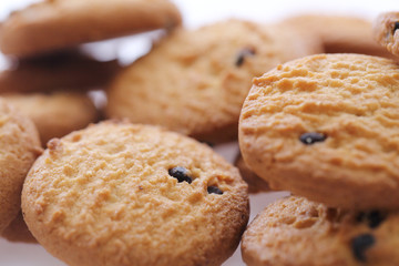 Chocolate chip cookie isolated in white background