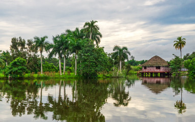 Fototapeta na wymiar bungalows on the river in the rainforest