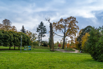 Pochmurny jesienny dzień w parku
