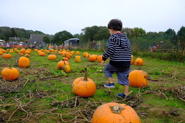 Boy with his pumpkin