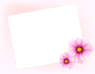 Sweet pink background for your text with flowers.