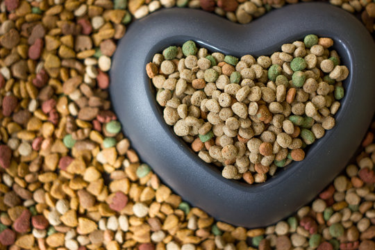 Dry pet food with big heart bowl and place for your text.