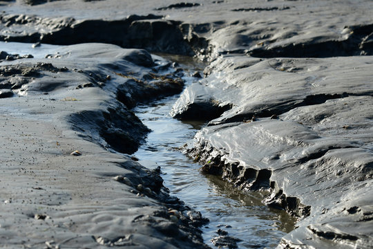 B&uuml;sum Watt