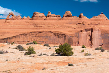 Fototapeta premium arches national park in utah Delicate-Arch