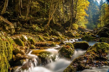 Torrente Pesio, Cuneo, Valle Pesio