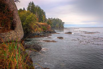 Rocky Coast on Strait of Juan de Fuca