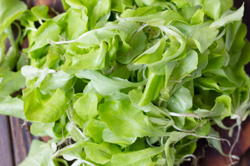 Green salad leaves