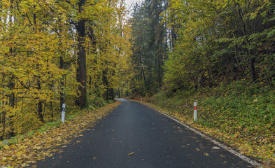 Road near Jesenny village in autumn dark evening