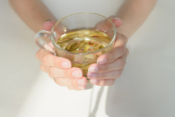 Herbal tea in woman hands