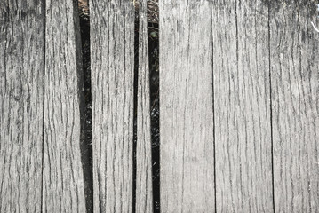 Background of the old dry gray board. Wood