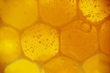 close-up of honeycomb