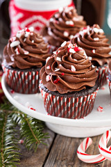 Chocolate peppermint cupcakes with candy cane