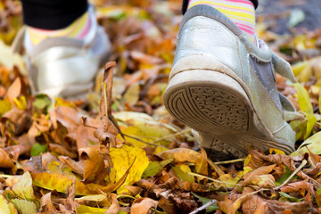 Children's feet on yellow leaves