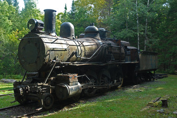 Fototapeta na wymiar Old train in the woods