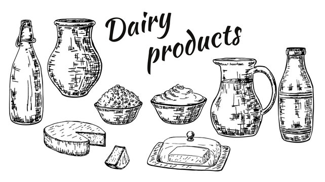 Vector ink hand drawn sketch style dairy products set