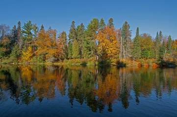 Autumn colors