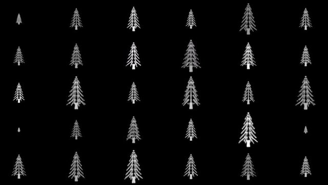 Christmas trees black and white looping background
