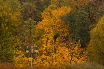 Beautiful autumn landscape with street lantern 