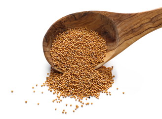Yellow mustard seeds in wooden spoon isolated on white background