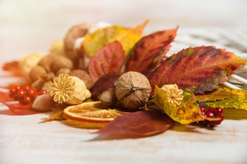 Autumn composition with nuts, peanuts, red berries, dry orange slices and dry poppy heads on rustic wooden table. Autumn harvest concept. fall flat lay with copy space
