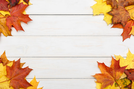 Autumn maple leaves on white wooden background