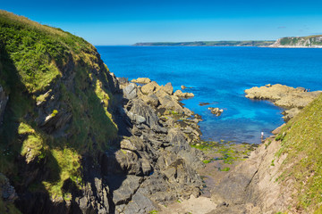 View of the sea and the Devon coast. View from steep bank Burgh Island. UK