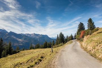 Naklejka premium Bergstraße in den österreichischen Alpen