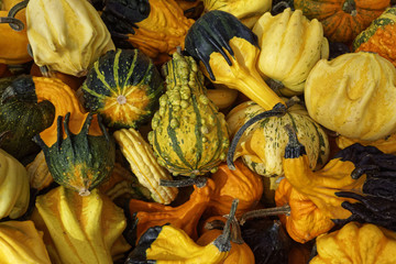 pumpkin, close up, halloween