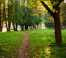 Plakat Walk way path in autumn botanical park on sunset