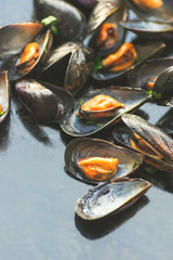 Seafood dark background with mussels. Vertical format. Selective focus 