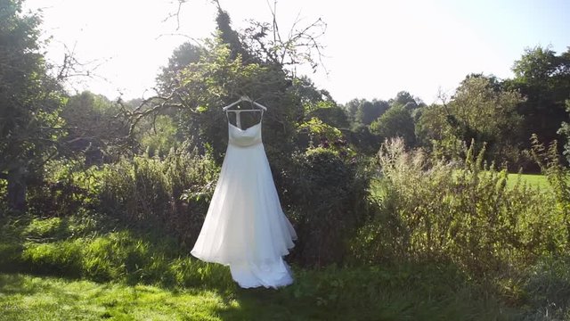 wedding dress hanging on the tree.