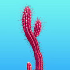 Cactus. Minimal Stillife. Art Gallery Fashion Design. Neon Pink cactus. Vanilla Trendy Color. Concept on Blue background. Detail