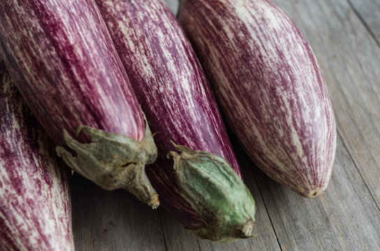 Listada de Gandia Eggplant