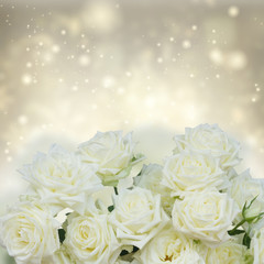 Bunch of white blooming fresh rose flowers over silver shining background