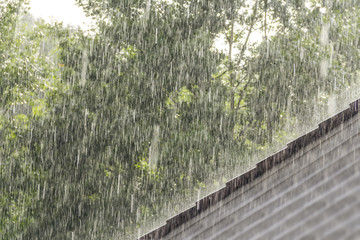 downpour scenery