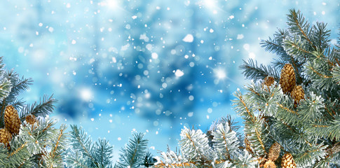 Winter Christmas background with fir tree branch Merry Christmas and happy New Year greeting card with copy-space.Christmas background.Winter landscape with snow and fir trees
