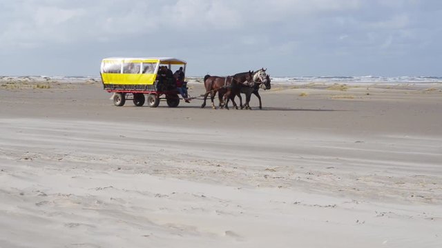 three horses pulling a covered wagon over the beach