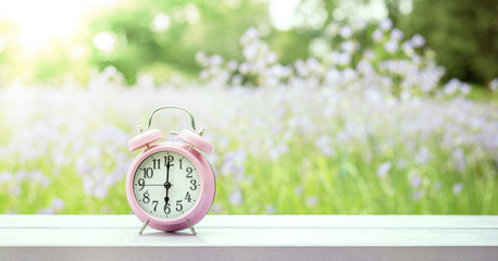 Clock on wood in the morning, blurred nature background.