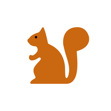 Ginger sitting squirrel vector illustration. Isolated on white background. Cute squirrel graphic flat icon.