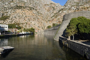 Kotor, Cottaro