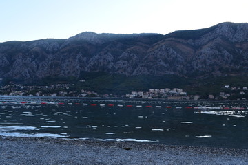 Kotor, Cottaro