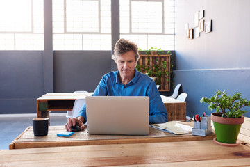 Mature businessman working on a laptop in an office