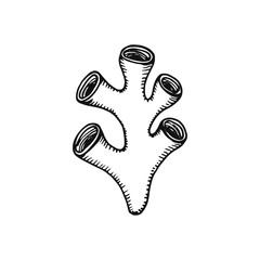 coral black silhouette isolated