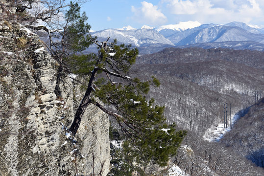 Eagle rock or the rock of Prometheus in the snow, Sochi