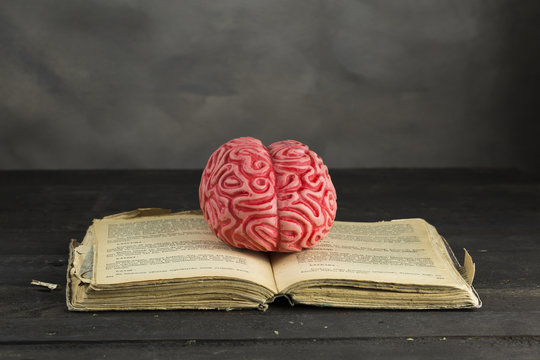 Book Brain -Educational Concept