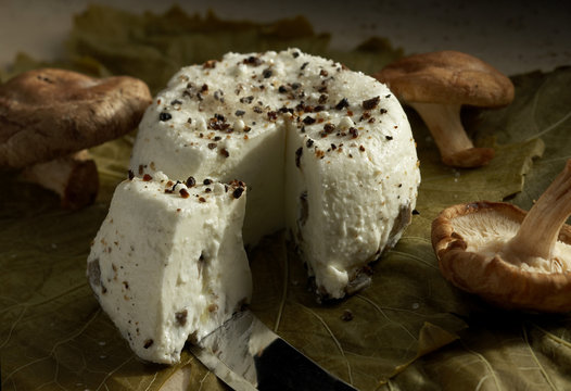 Soft cheese with herbs