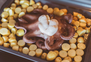 Obraz na płótnie Canvas Preparation of an octopus in oven.